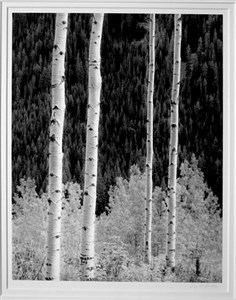 Image description is not available for 2001.028